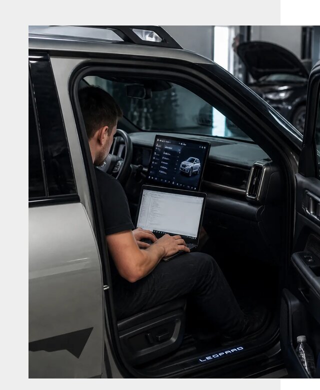 Русификация BYD Leopard 3 в Ульяновске по цене от 20467 р. | ФастМобиль-Улн